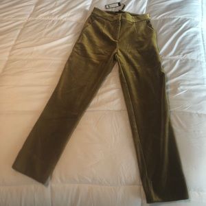 Moss gold velvet trousers pant